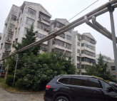 八一小区