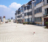 滕阳丽都
