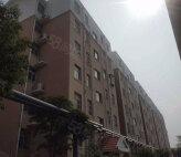 荆善安居南区