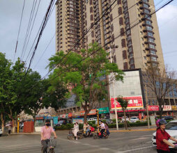 嘉鸿一品