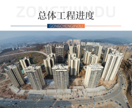 岁末阅家 暖冬寄情丨紫荆华庭12月工程进度播报