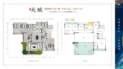 天赋