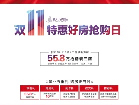 万象国际双11好房抢购日