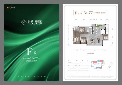 F户型
