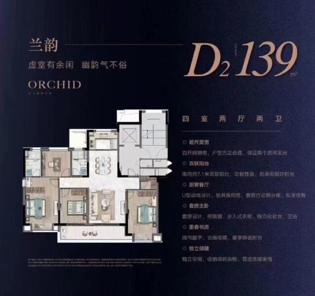 D2-139户型图