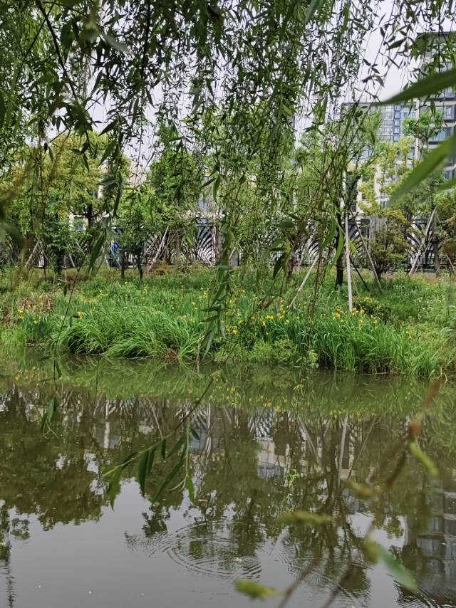 保利天悦，4室2厅2卫，123.00㎡，精装，售价520.00万 二手房