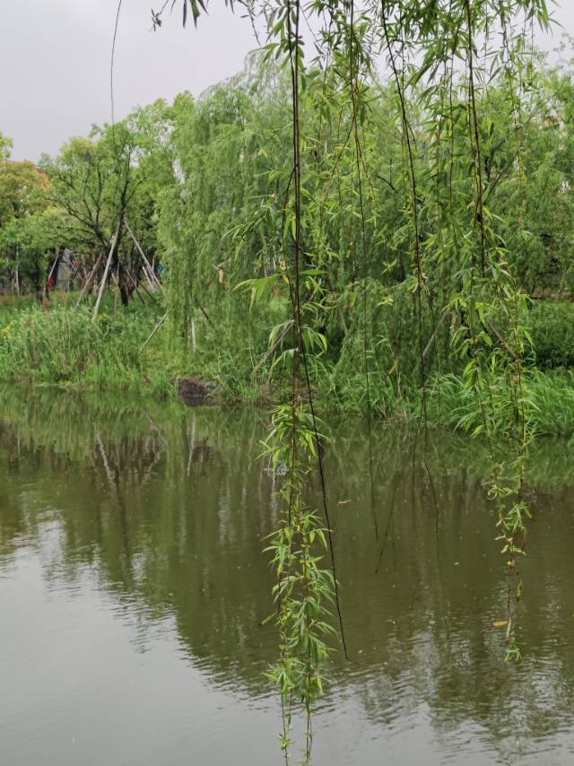 保利天悦，4室2厅2卫，123.00㎡，精装，售价520.00万 二手房