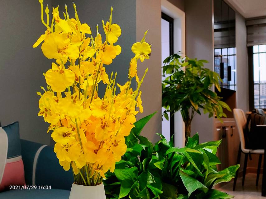 盛世华城，3室2厅1卫，102㎡，精装，租金3000元/月 租房