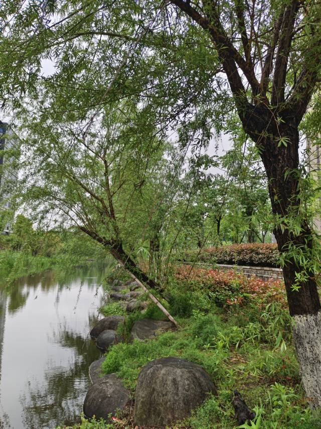 保利天悦，4室2厅2卫，123.00㎡，精装，售价520.00万 二手房