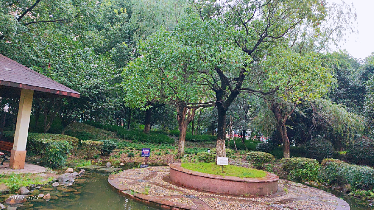 盛世华城，3室2厅2卫，127㎡，精装，租金3150元/月 租房