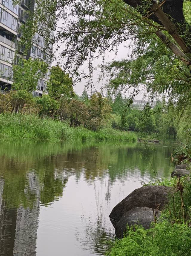 保利天悦，4室2厅2卫，123.00㎡，精装，售价520.00万 二手房