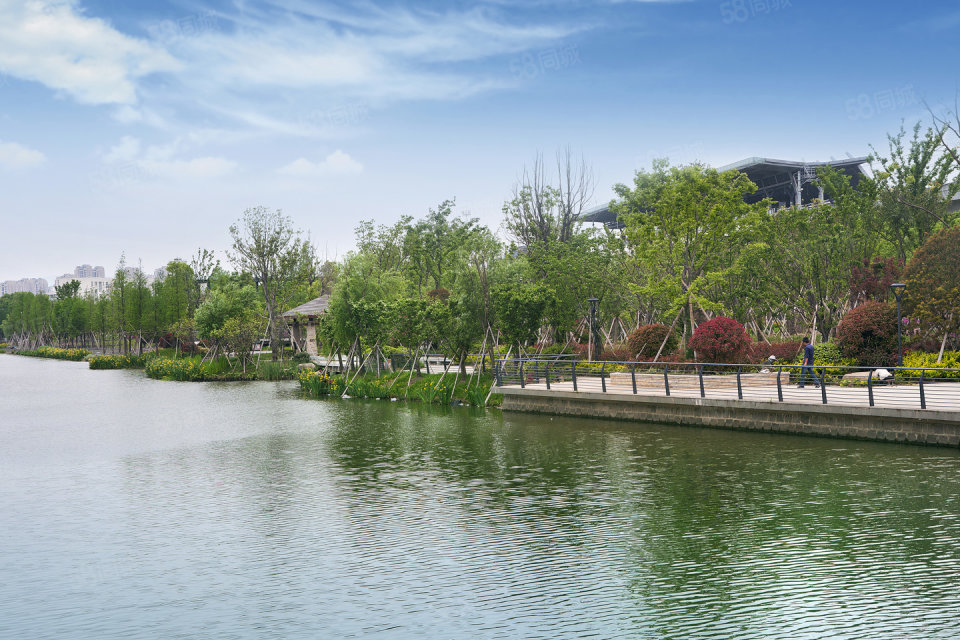 望庐花苑，4室2厅2卫，129.00㎡，售价500.00万 二手房