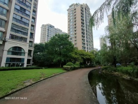 习近平主持召开深入推进长三角一体化发展座谈会