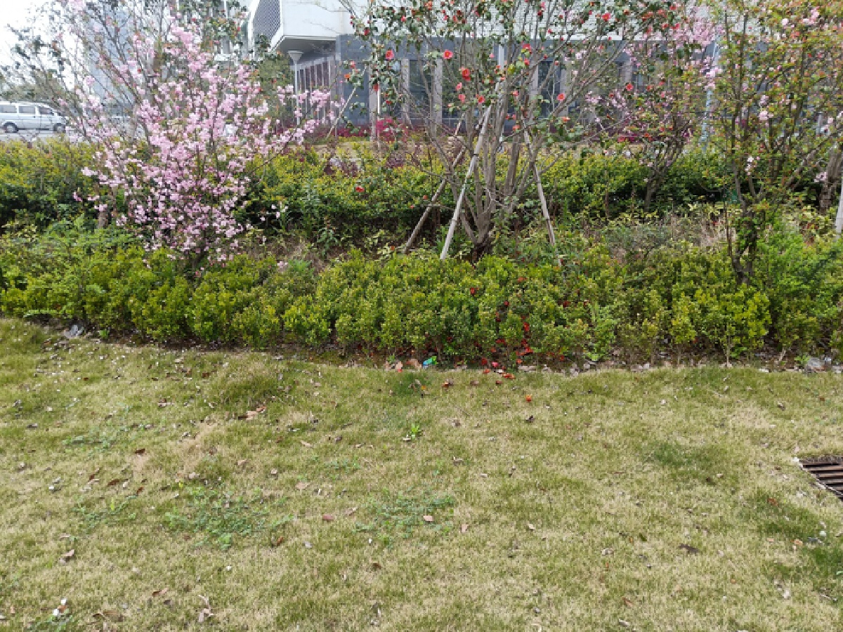 薛家新家园，2室2厅1卫，97.00㎡，精装，售价213.00万 二手房