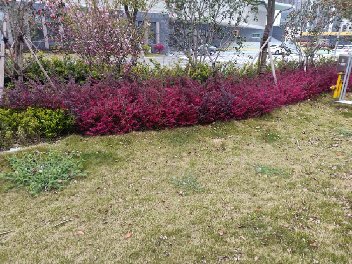 薛家新家园，2室2厅1卫，97.00㎡，精装，售价213.00万 二手房