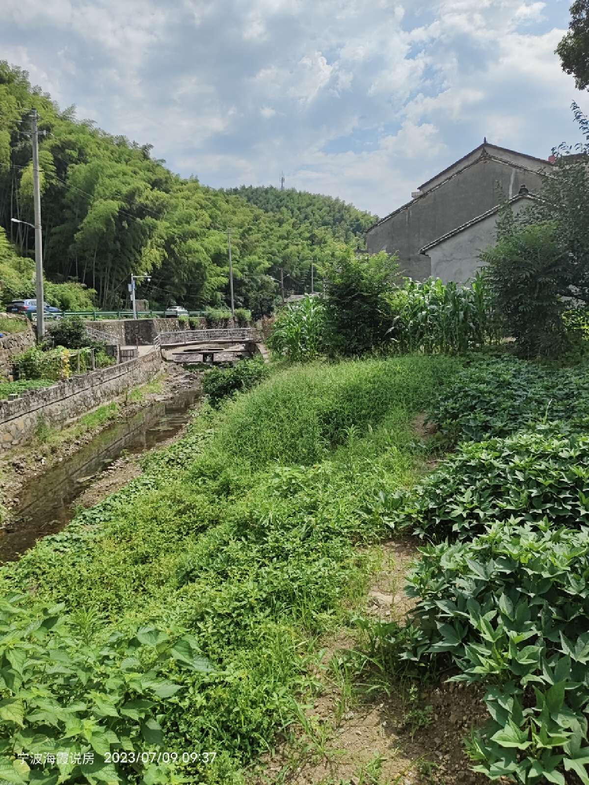 慈城落地房集体土地证100平方，菜园200平方，院子子60平环境优美，要一次性付款交易方式签协议100平方 二手房