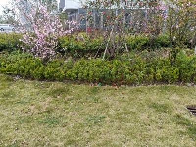 姚丰铭府3室2厅126平3000元/月