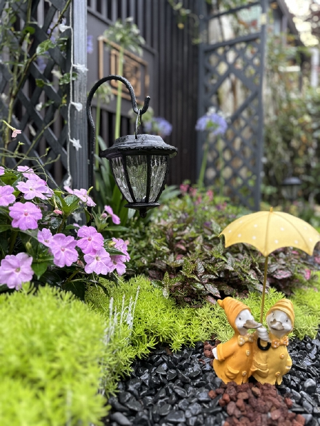 春风度家家户户有院子，家家户户有露台