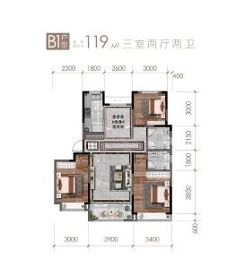 119三室两厅两卫