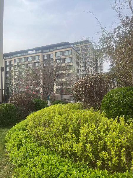 海通龙泉名著实景图