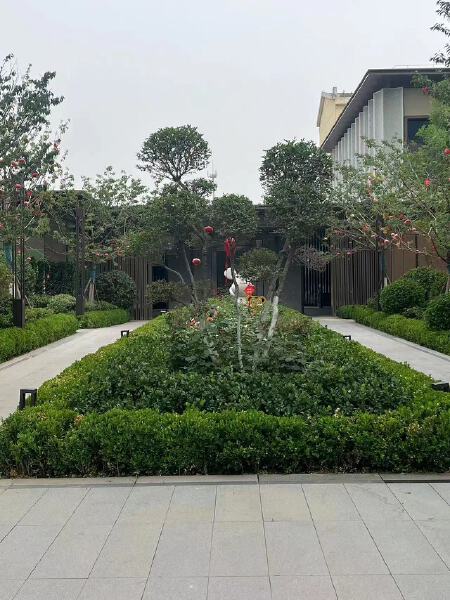 海通龙泉名著实景图