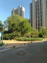 北京朝阳区最火楼盘